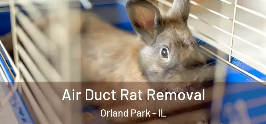  Air Duct Rat Removal Orland Park - IL