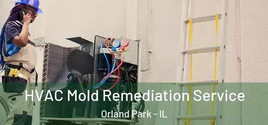  HVAC Mold Remediation Service Orland Park - IL