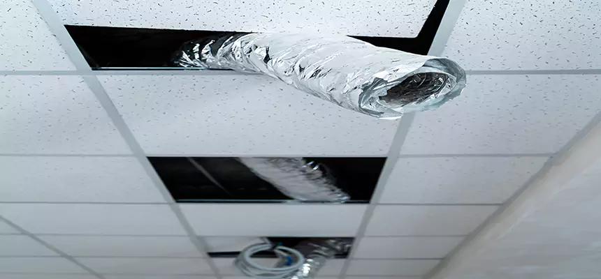 Our Air Duct Pet Hair Removal Services in Orland Park, IL