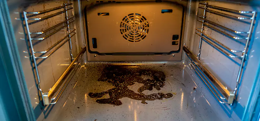 Our Dryer Vent Mold Cleaning Services in Orland Park, IL