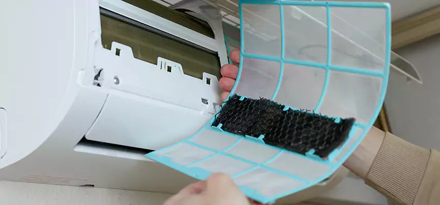 Gentle Ductwork Odor-Control Pet Dander Duct Cleaning in Orland Park, IL