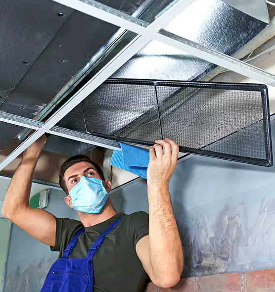 About Air Duct Bacteria Removal in Orland Park