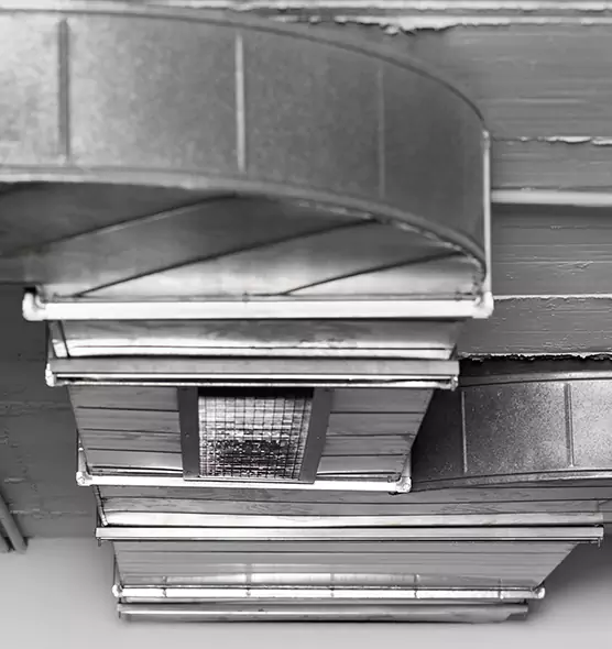 Professional Air Duct Pest Removal in Orland Park, IL