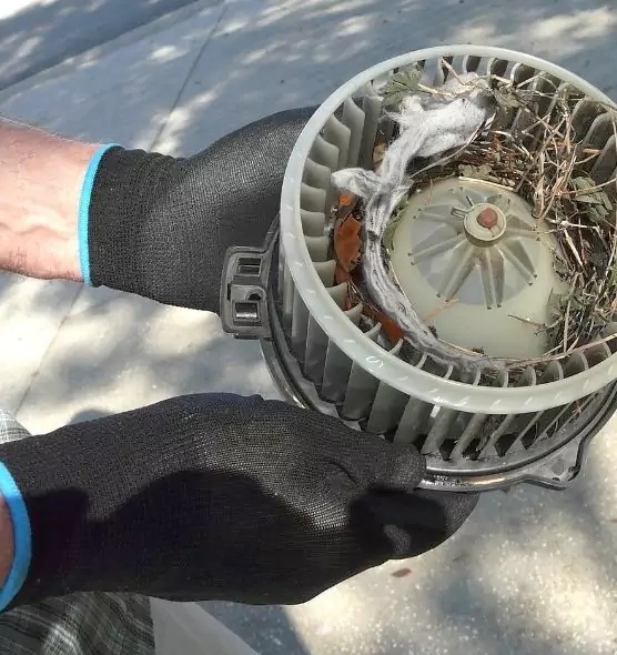 About Air Duct Rat Removal in Orland Park, IL