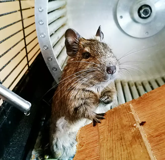 Why Homeowners & Businesses Trust Us Orland Park, IL