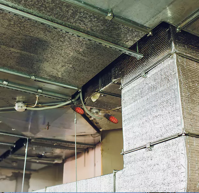 Why Homeowners & Businesses Trust Us Orland Park, IL?