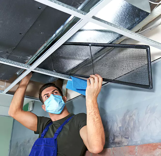 Why Homeowners & Businesses Trust Us in Orland Park, IL?